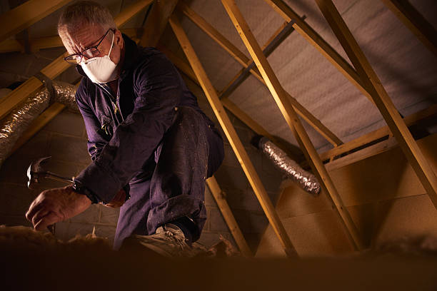 Best Insulation Contractors for Homes  in North Fair Oaks, CA